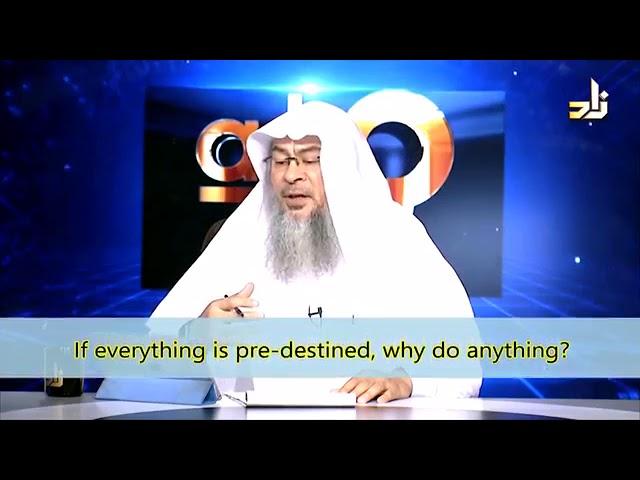 If everything is Pre-destined why do anything? - Sheikh Assim Al Hakeem