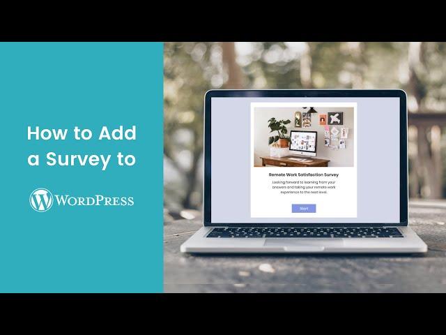 WordPress Survey Plugin – How to Create a Free WordPress Survey