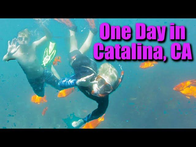 One Day In Catalina - Best Snorkeling in CA