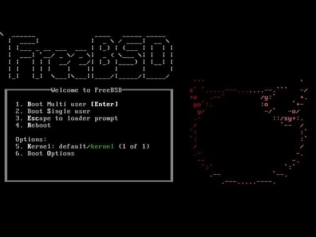 How to Install FreeBSD on VM Ware workstation with GUI