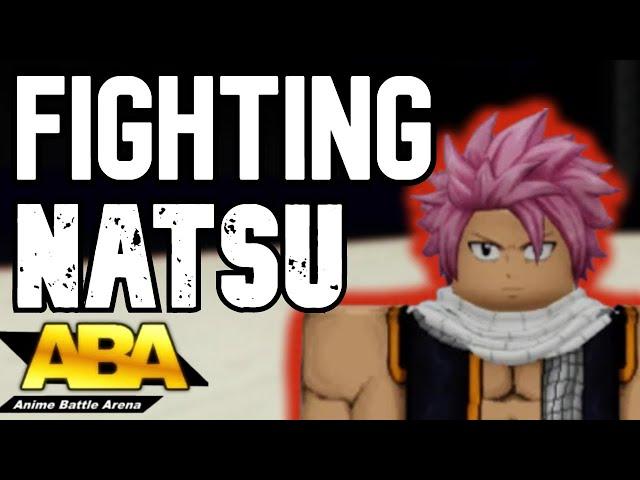 Fighting Infernasu and a Developer (Natsu) | Anime Battle Arena