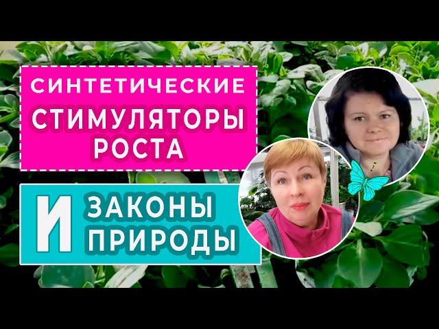 СИНТЕТИЧЕСКИЕ стимуляторы роста корневой системы. Законы природы