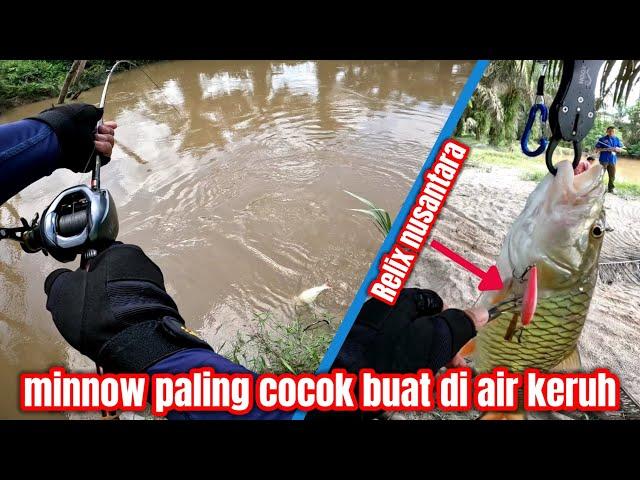 CASTING HAMPALA SIPREDATOR OMPONG PENGHUNI AIR KERUH || MINNOW UNTUK CASTING HAMPALA AIR KERUH