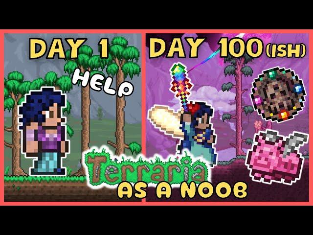 I spent (over) 100 days in Terraria *AS A NOOB* to beat the game