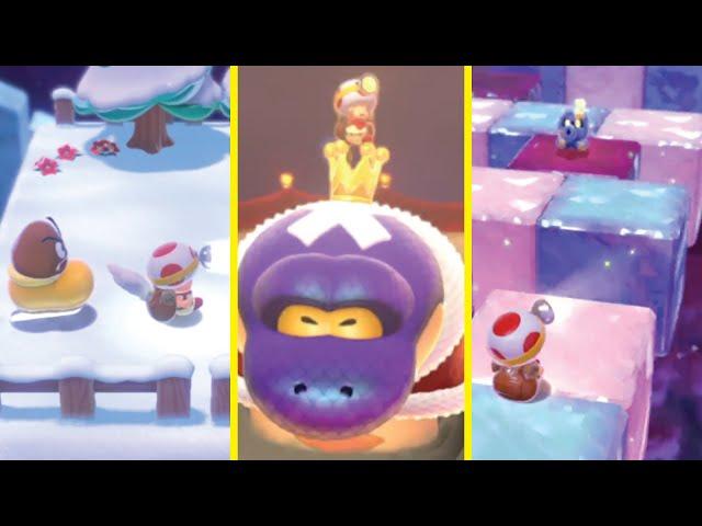 What if all Super Mario 3D World levels, Boss Fights, and CHAMPION'S ROAD were CAPTAIN TOAD LEVELS?