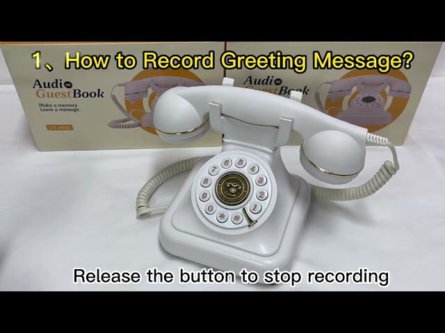 ROOMEDAL Audio Guest Book Wedding Phone for Parties Weddings Birthdays Rentals