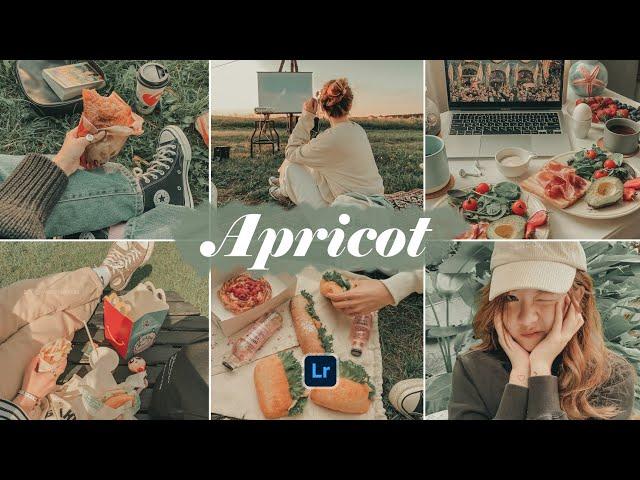 Apricot - Lightroom Mobile Presets | Vibrant Filter | Bloom Preset | Blogger Preset