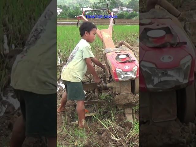 Traktor Sawah 379 Hand tractor