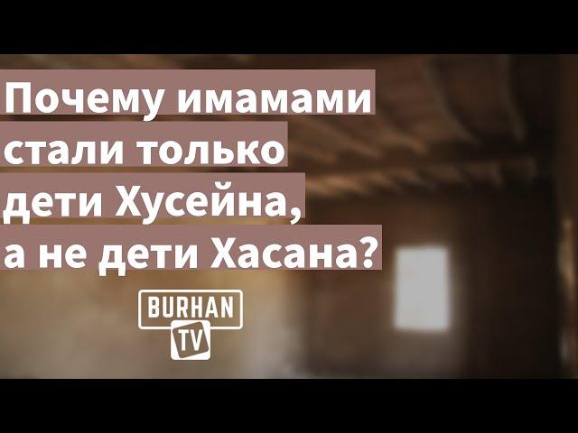 Почему имамами стали только дети Хусейна, а не дети Хасана? Вопросы к шиитам (11/15)