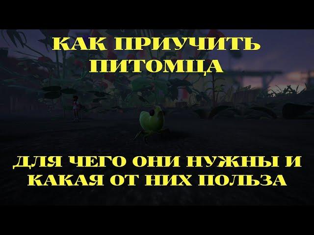 КАК ПРИУЧИТЬ ПИТОМЦА, ДЛЯ ЧЕГО ОНИ НУЖНЫ И КАКАЯ ОТ НИХ ПОЛЬЗА GROUNDED