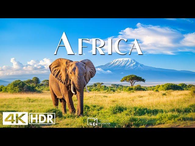 AFRICA 4K • Breathtaking Wildlife, Tribal Music - Relaxation Film - Nature 4k Video UltraHD