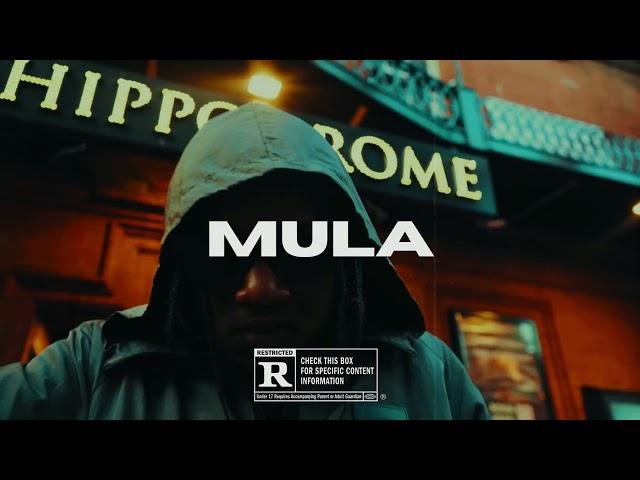 [FREE] Dancehall Riddim Instrumental 2024 - "MULA"