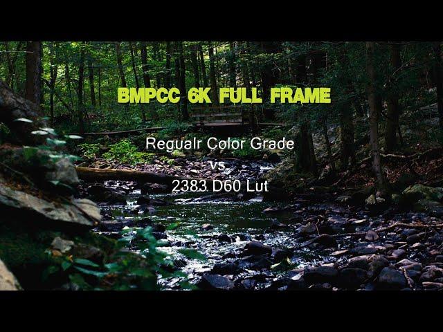 BMPCC 6K Full Frame regular color correction vs. 2383 Lut. Test Footage