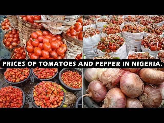 CURRENT PRICE OF TOMATOES AND PEPPER | LAGOS NIGERIA | MILE 12 MARKET