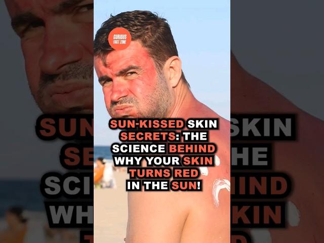 Sun-Kissed Skin Secrets: The Science Behind Why Your Skin Turns Red in the Sun! ️ #shorts #facts