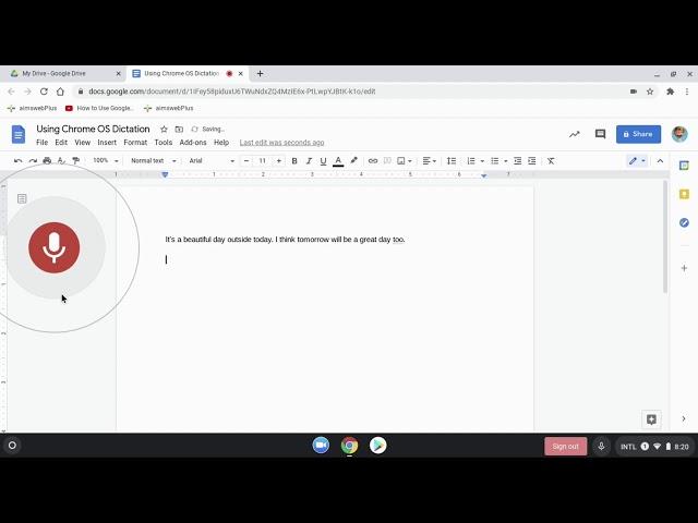 Voice Typing on the Chromebook