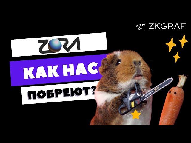 ZORA - СТАТИСТИКА! КАК НАС ПОБРЕЮТ? КОГДА ДРОП? СТОИТ ЛИ ЗАГОНЯТЬ АККАУНТЫ СЕЙЧАС?