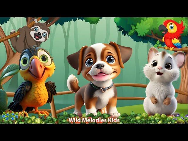 Animal Sounds: Penguin, Wolf, Sheep, Goat, Dog - Animal Videos