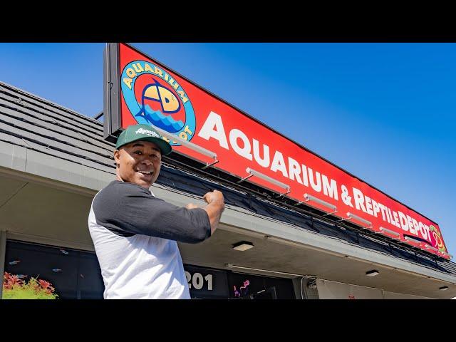 This 10,000 square-foot FISH STORE is Amazing!