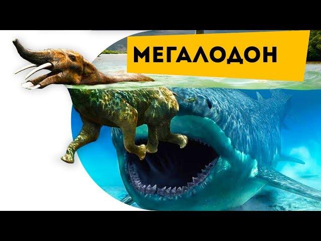 Монстр глубины Мегалодон | Динозавры | Мег