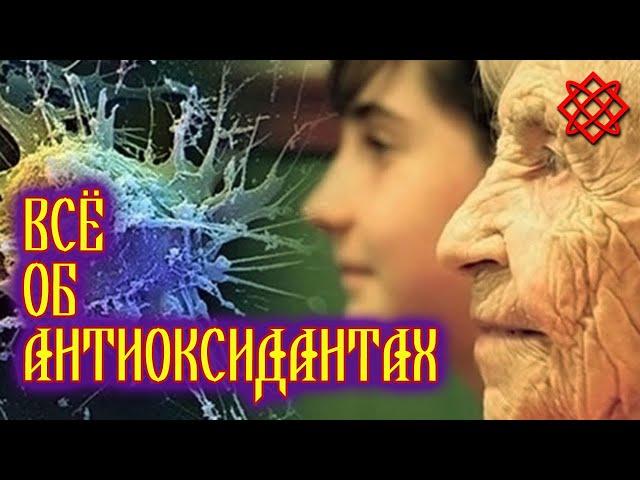 Что такое антиоксиданты. Топ 8 недорогих продуктов с большим содержанием антиоксидантов