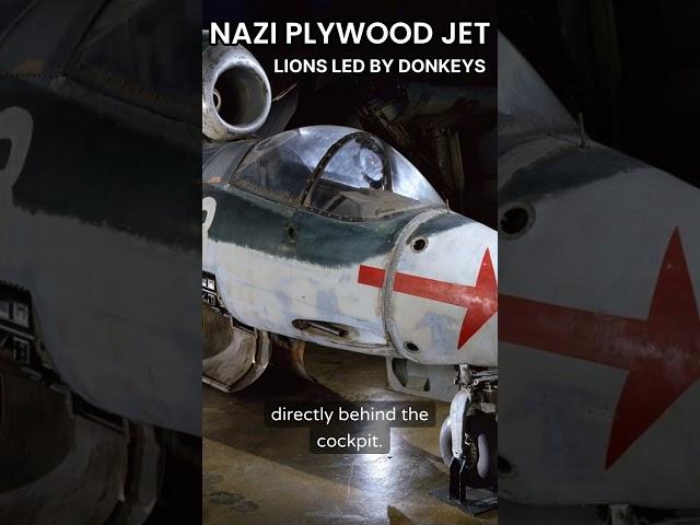 The Nazi Plywood Jet Flown By Teenagers