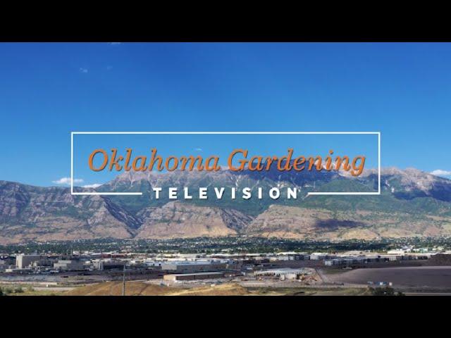 Oklahoma Gardening October 12, 2024