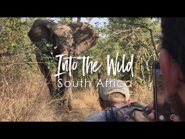 Becoming a Field Guide Level 1 | 55 days in the wilderness of South Africa