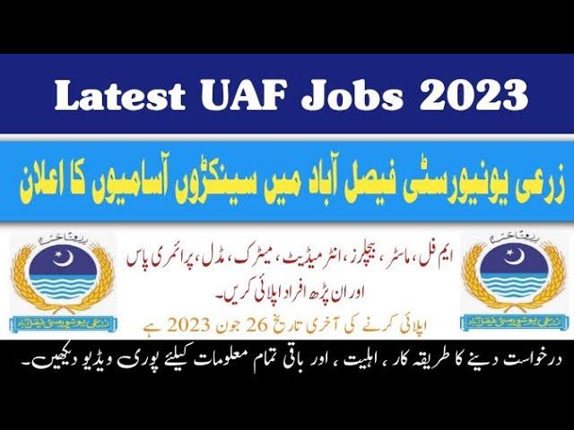 UAF Teaching and Non Teaching Jobs 2023 | Today Jobs in Pakistan 2023 | Clifton Jobs Studio