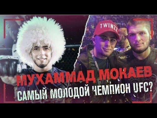 МУХАММАД МОКАЕВ!конфликт с дипатом. Хамзаевым?#ufc #mmanews #дагестан#новостисегодня