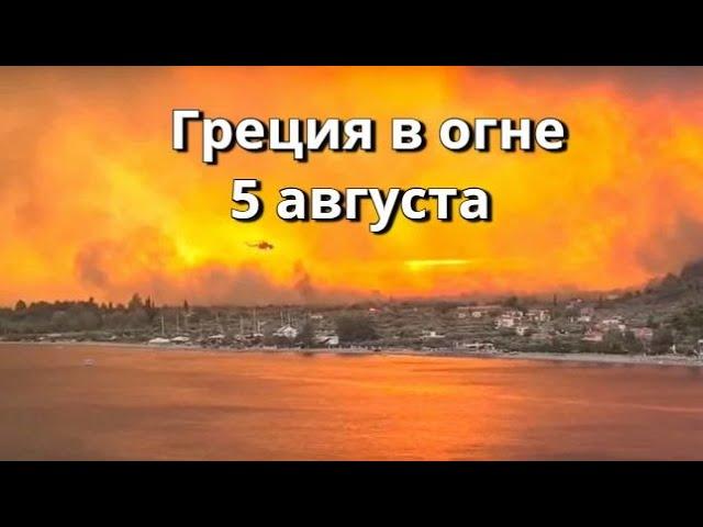 Лесной пожар в Греции остров Эвия