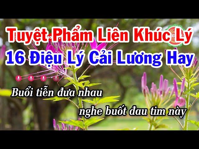 Karaoke Tuyệt Phẩm 16 Điệu Lý Cải Lương Nam Bộ Hay Nhất 2024