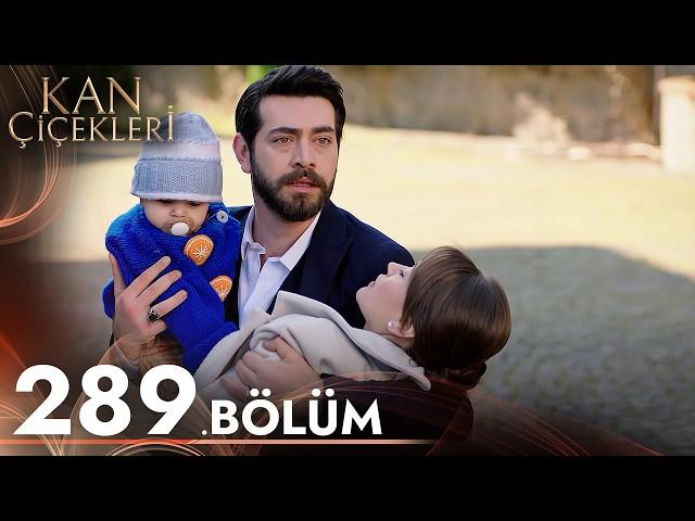 Kan Çiçekleri 289. Bölüm