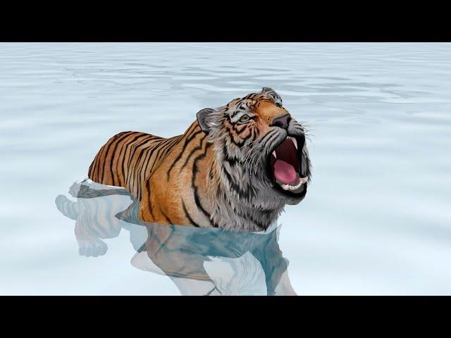 Test Tiger - Animation Kh