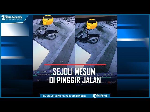 Viral Mesum di Pinggir Jalan Pekalongan Terekam CCTV