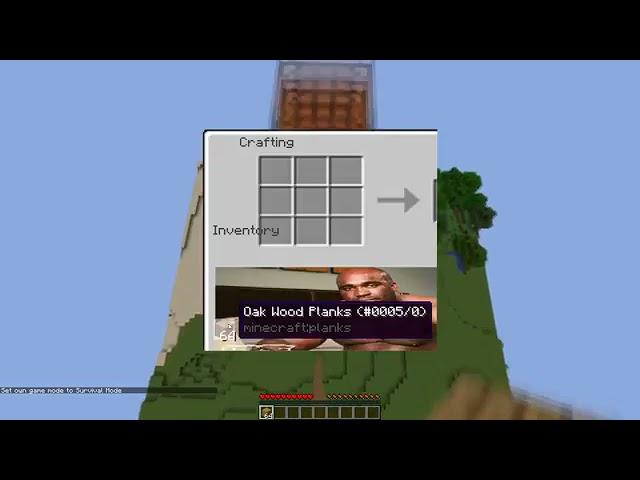 Minecraft meme | Barry Wood