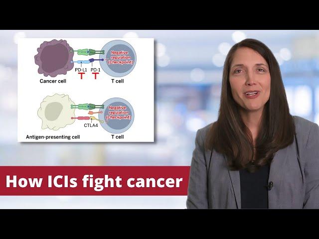 Cancer Immune Checkpoint Inhibitors