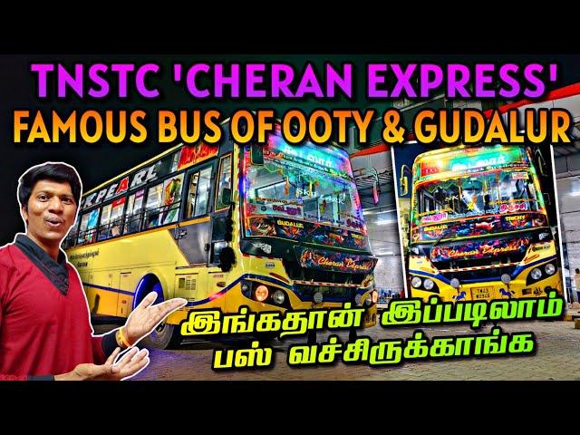 TNSTC HILLS BEAUTY 'CHERAN EXPRESS' BUS TRAVEL VLOG!!! TRICHY-OOTY-GUDALUR | Naveen Kumar