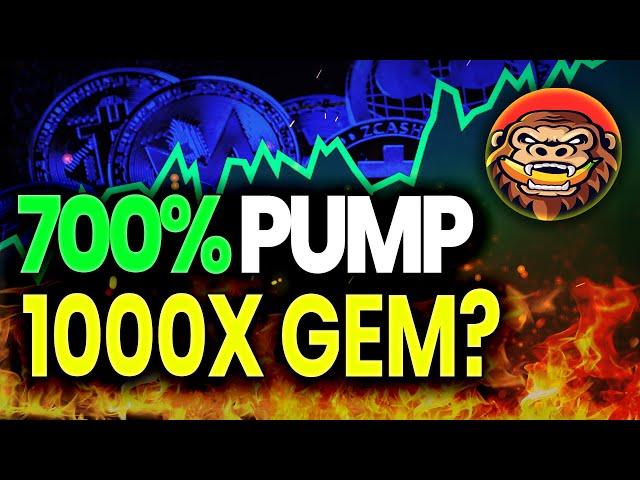 GORILLA TOKEN COULD DO MASSIVE 200X PUMP!!  Should You Buy Gorilla Coin?