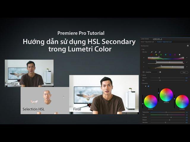 Hướng dẫn sử dụng HSL Secondary của Lumetri Color trong Adobe Premiere pro