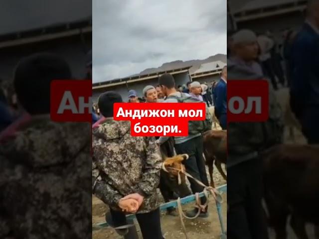 андижон мол бозори.