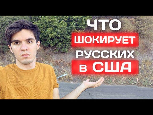 Шокирующие факты о США #shorts