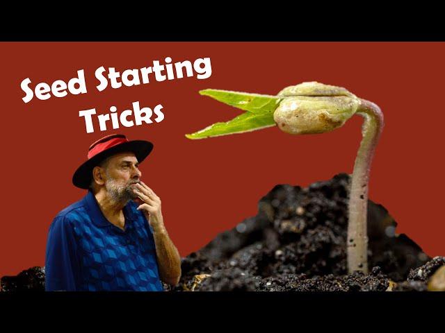 10 Seed Starting Tricks I Used to germinate 2,000 Different Plants