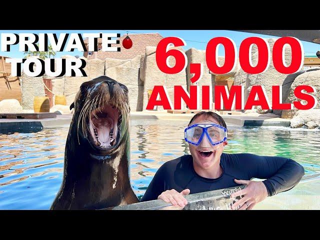 Private Tour Of Arizona's *LARGEST* Zoo!