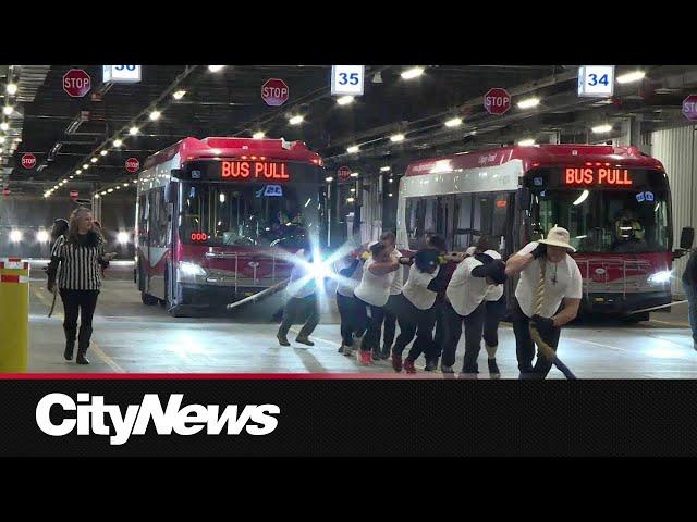 City of Calgary employees pull bus for charity