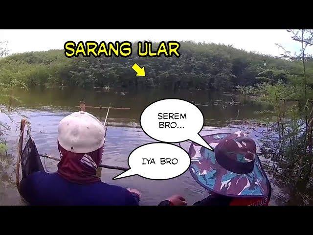 Mancing Nila di Sarang Ular