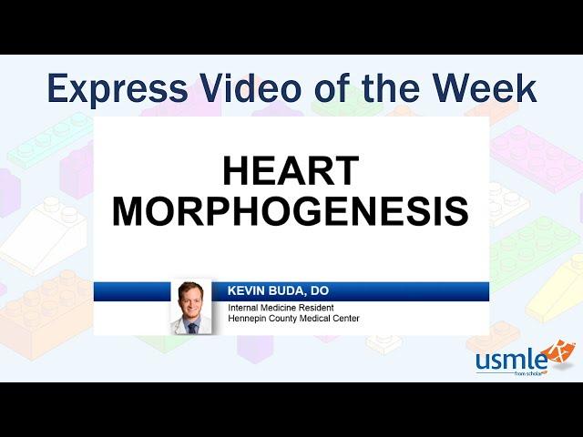 Heart Morphogenesis