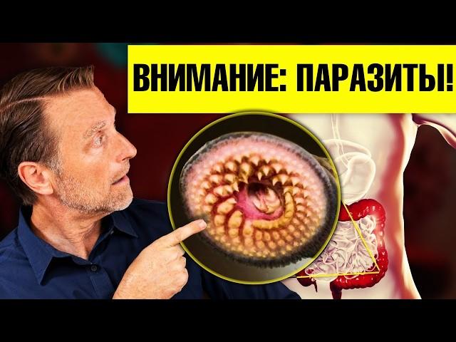 7 признаков наличия паразитов. Натуральные средства от паразитов