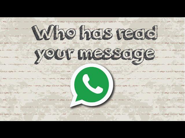 How to check who has read your message in WhatsApp group