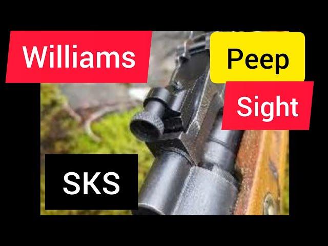 Williams SKS peep sight (review and shoot)